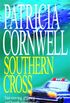 Southern Cross (Andy Brazil Book 2) (English Edition)