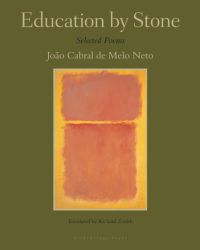 Education by Stone (English Edition)