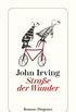 Strae der Wunder (detebe) (German Edition)