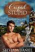 Cupid Stupid: Return To Cupid, Texas