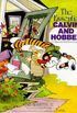 The essential Calvin and Hobbes