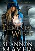 Elemental Witch (The Questing Witch Series Book 4) (English Edition)