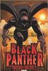 Black Panther, Vol. 1: Who is the Black Panther?