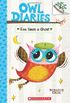 Owl Diaries #2: Eva Sees a Ghost (a Branches Book)