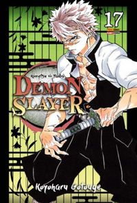 Demon Slayer: Kimetsu No Yaiba #17