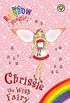 Chrissie The Wish Fairy: Special