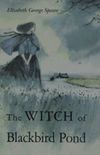 The witch of the blackbird pond