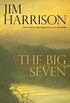 The Big Seven (The Detective Sunderson Series Book 2) (English Edition)