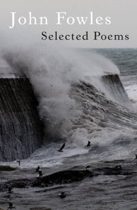 Selected Poems (English Edition)