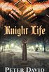 Knight Life (English Edition)
