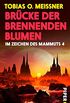 Brcke der brennenden Blumen (Im Zeichen des Mammuts 4) (German Edition)