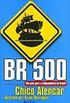 BR 500
