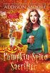 Pumpkin Spice Sacrifice: Cozy Mystery (MURDER IN THE MIX Book 3) (English Edition)