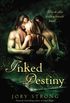 Inked Destiny (Inked Magic Book 2) (English Edition)