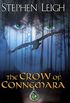 The Crow of Connemara (English Edition)