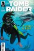 Tomb Raider (2014) #11