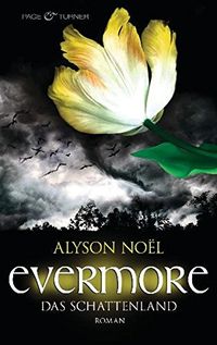 Evermore 3 - Das Schattenland: Roman