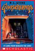 It Came From Beneath The Sink (Goosebumps #30) (English Edition)