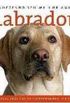 Labrador, Coleo: Conhecendo Seu Melhor Amigo