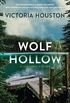 Wolf Hollow (A Lew Ferris Mystery) (English Edition)
