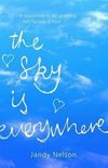 The Sky is Everywhere