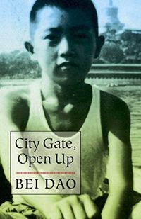 City Gate, Open Up (English Edition)