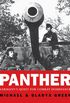 Panther: Germanys quest for combat dominance (General Military) (English Edition)