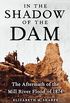 In the Shadow of the Dam: The Aftermath of the Mill River Flood of 1874 (English Edition)