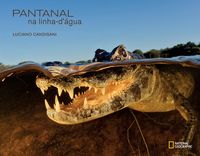 Pantanal na Linha-D