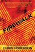 Firewalk (Recondito Book 1) (English Edition)