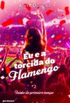 Eu e a torcida do Flamengo 2- Incio do primeiro tempo