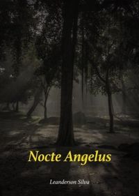 Nocte Angelus