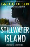 Stillwater Island: An absolutely gripping mystery suspense thriller (Detective Megan Carpenter Book 4) (English Edition)