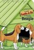 A Famlia Beagle