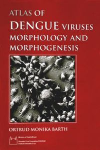 Atlas of dengue viruses morphology and morphogenesis