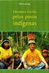 Literatura escrita pelos povos indgenas