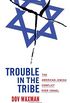 Trouble in the Tribe - The American Jewish Conflict over Israel