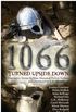 1066 Turned Upside Down