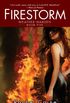 Firestorm (Weather Warden, Book 5): Book Five of the Weather Warden (English Edition)