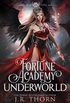 Fortune Academy Underworld: Book Five