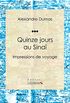 Quinze jours au Sina: Impressions de voyage (French Edition)