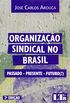 Organizao Sindical No Brasil