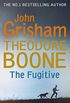 Theodore Boone: The Fugitive: Theodore Boone 5 (English Edition)