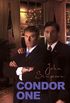 Condor One (Condor One Series Book 1) (English Edition)