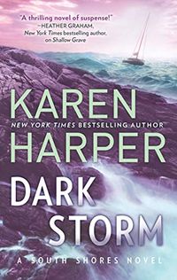Dark Storm (South Shores Book 6) (English Edition)