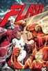 The Flash Volume 08: Flash War