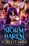 Storm Harem