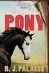 Pony (English Edition)