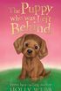 The Puppy who was Left Behind (Holly Webb Animal Stories) (English Edition)