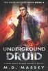 Underground Druid: A New Adult Urban Fantasy Novel